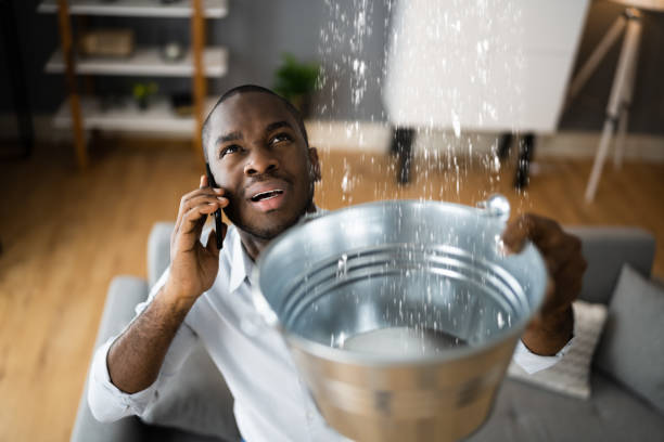 Best Flood restoration services  in Ucon, ID
