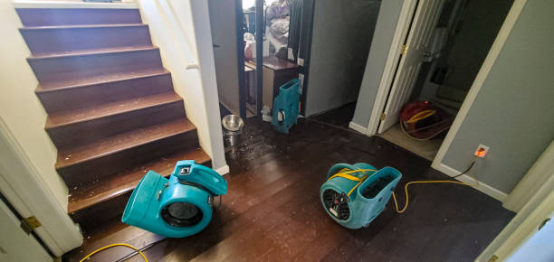 Best Basement water damage restoration  in Ucon, ID