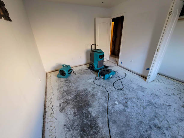 Best Water damage restoration experts  in Ucon, ID