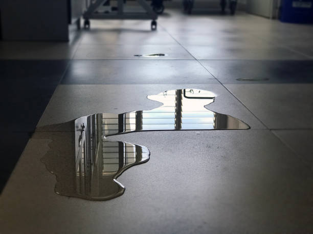 Best Water damage restoration near me  in Ucon, ID