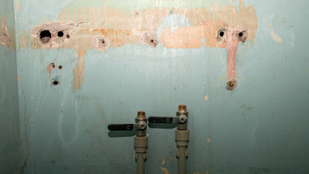 Best Water damage restoration company  in Ucon, ID
