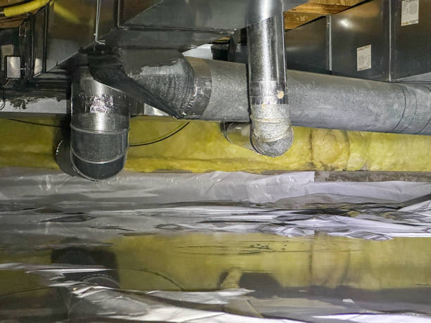 Best Water damage contractors near me  in Ucon, ID