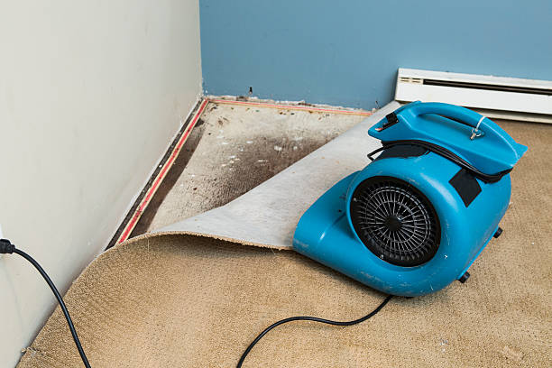 Water damage restoration insurance claims in ID